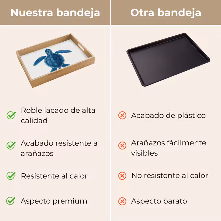 Bandeja - Tortuga - Azul - Escudo — 9