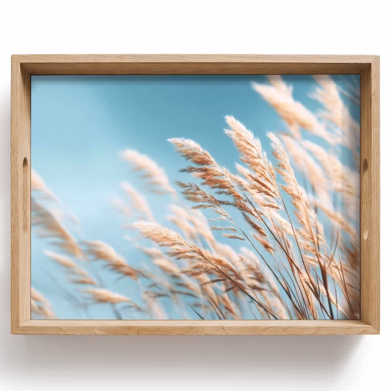 Bandeja - Césped ornamental - Viento - Marrón claro — 1