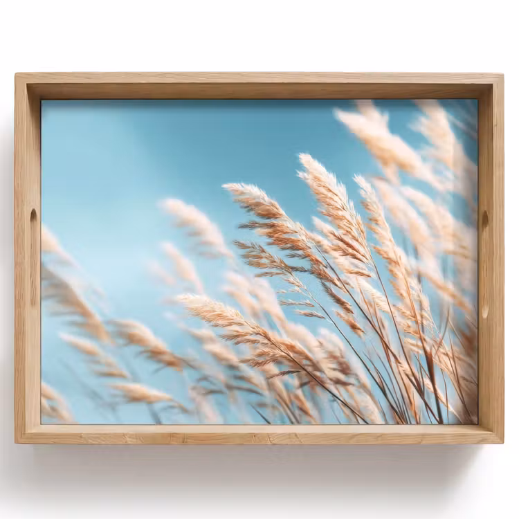 Bandeja - Césped ornamental - Viento - Marrón claro — 1
