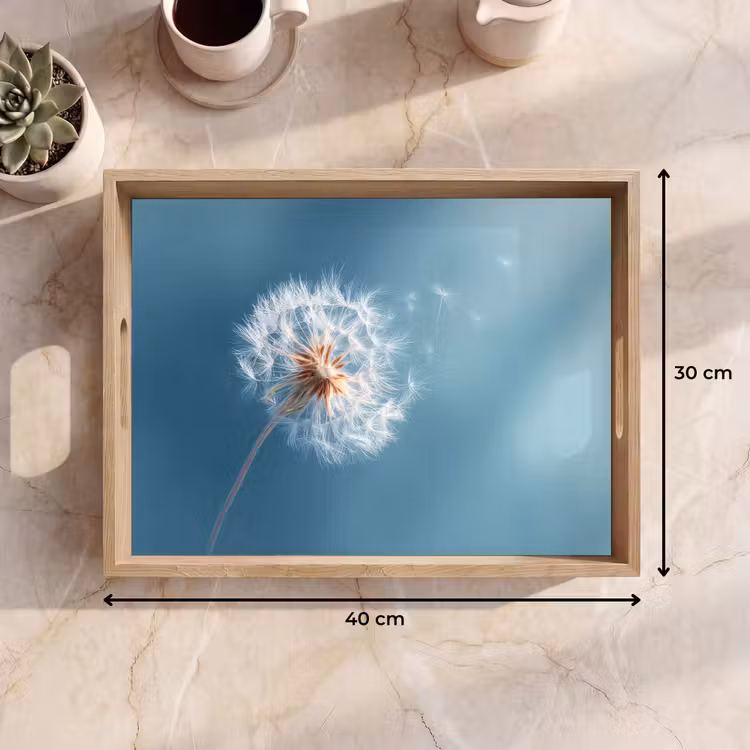 Bandeja - Diente de león - Viento - Azul — 7