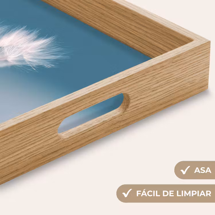Bandeja - Pelusa de diente de león - Azul - Aire — 8