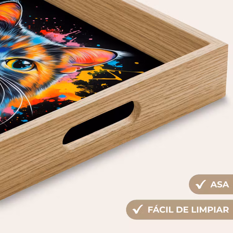 Bandeja - Gato - Graffiti - Colorido - Gofre - Comida — 8