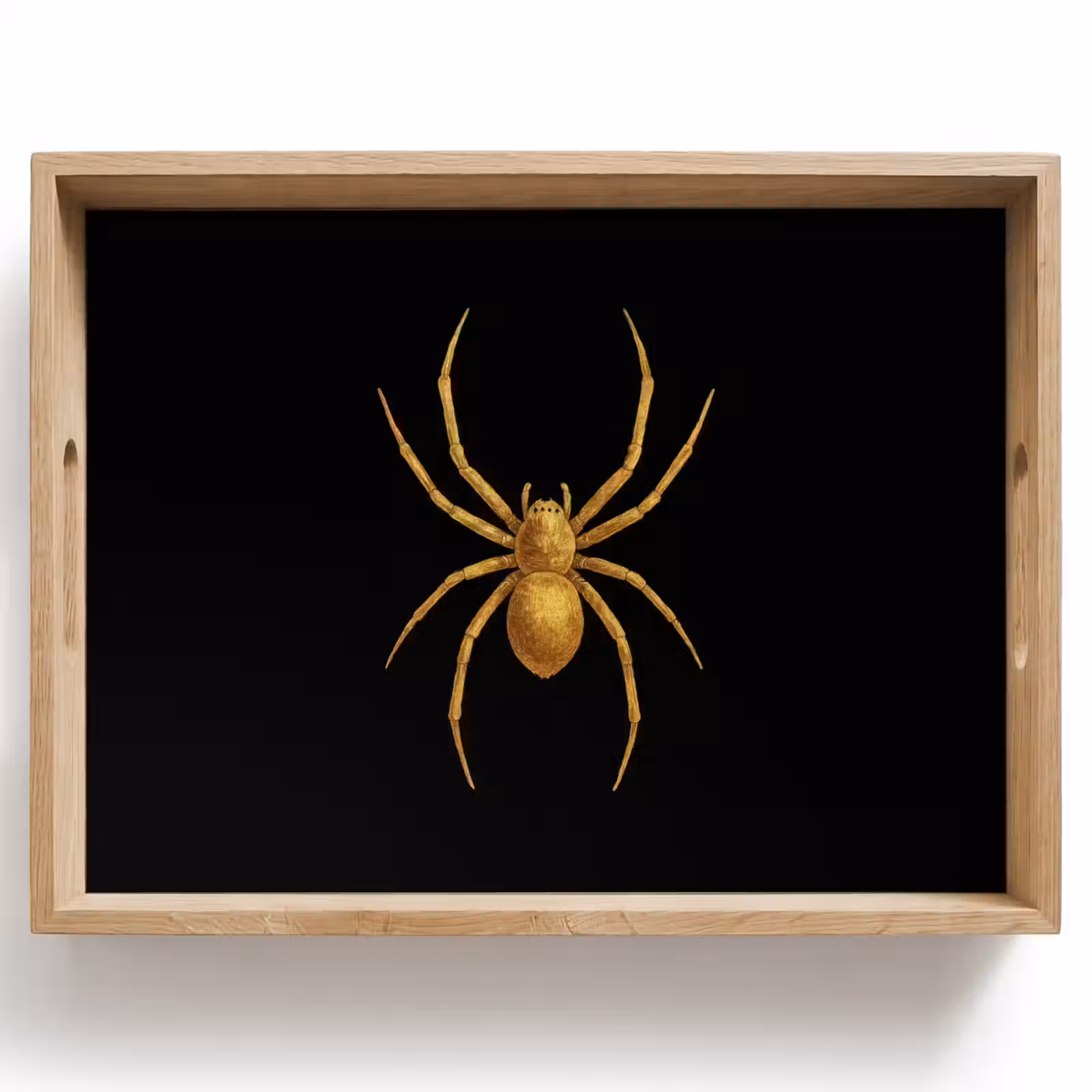 Bandeja - Araña - Oro - Minimalista - Patas — 1