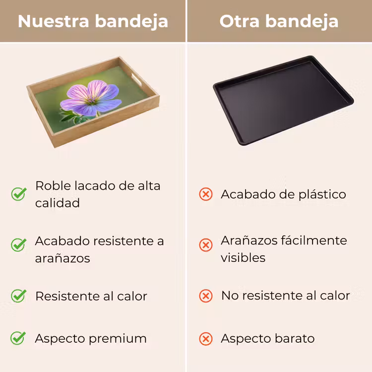 Bandeja - Flor - Primer plano - Violeta — 9