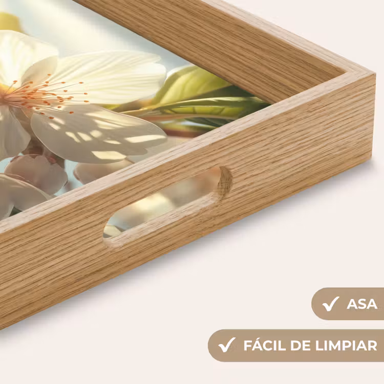 Bandeja - Flores - Blanco - Rayos de sol - Pétalos — 8
