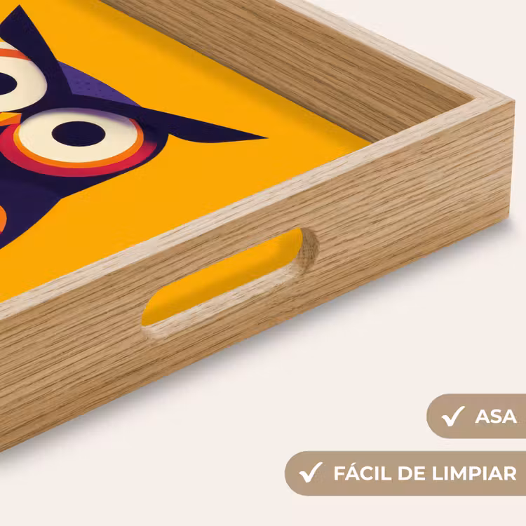 Bandeja - Búho - Gráfico - Colorido - Ojos — 8