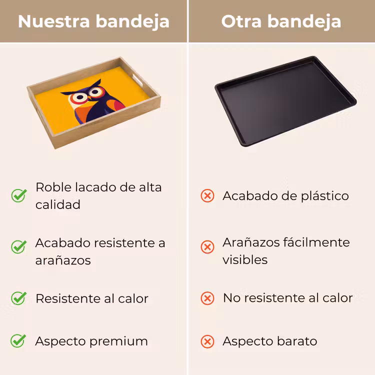 Bandeja - Búho - Gráfico - Colorido - Ojos — 9
