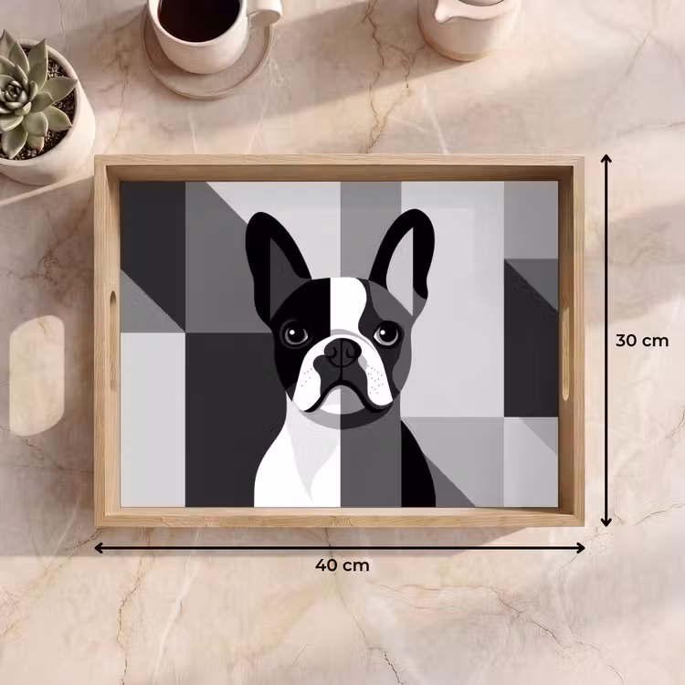 Bandeja - Bulldog - Negro - Abstracto - Aviones — 7
