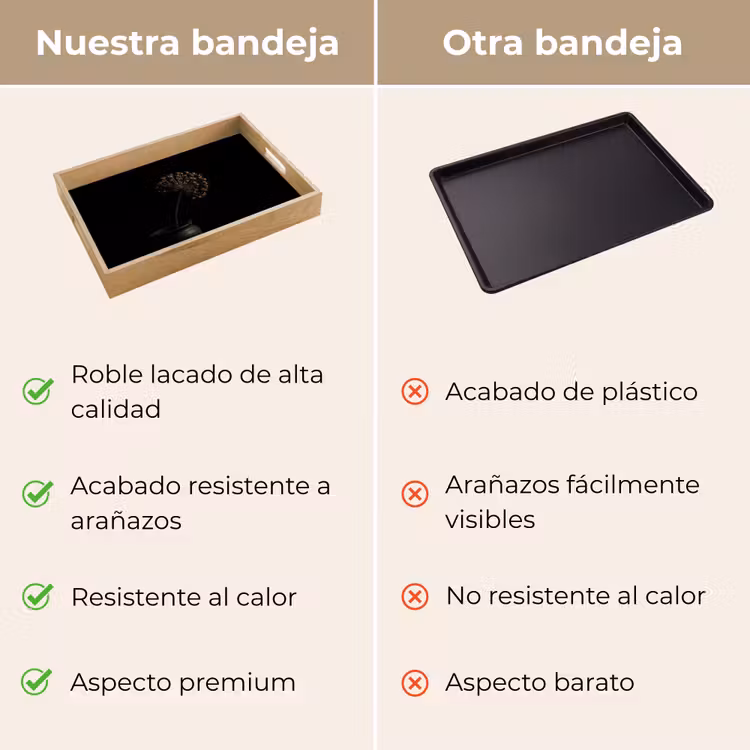 Bandeja - Bulbo - Seco - Jarrón - Negro — 9