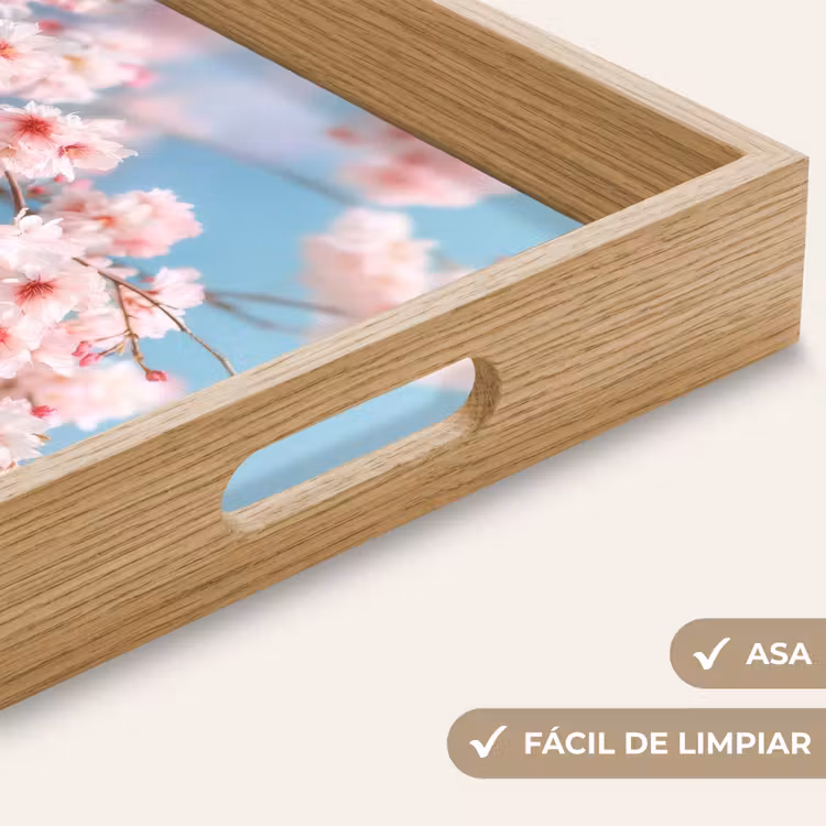 Bandeja - Ramas - Flores - Rosa — 8
