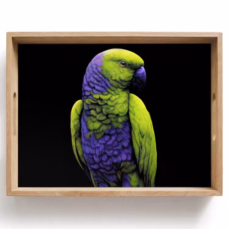 Bandeja - Loro - Plumas - Llamativo - Verde — 1