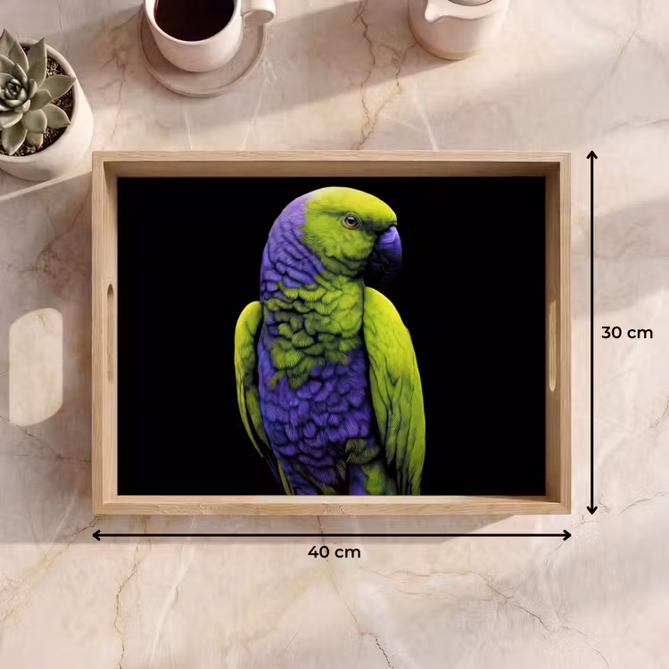 Bandeja - Loro - Plumas - Llamativo - Verde — 7