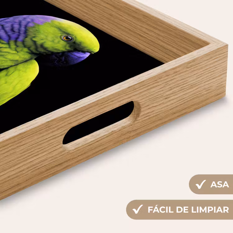 Bandeja - Loro - Plumas - Llamativo - Verde — 8