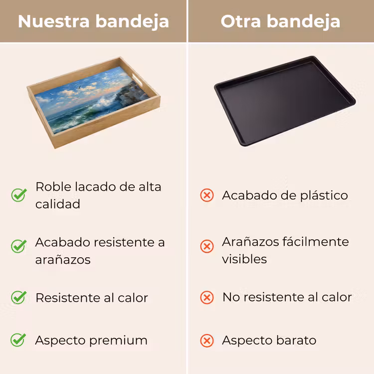 Bandeja - Mar - Olas - Rocas - Gaviotas — 9