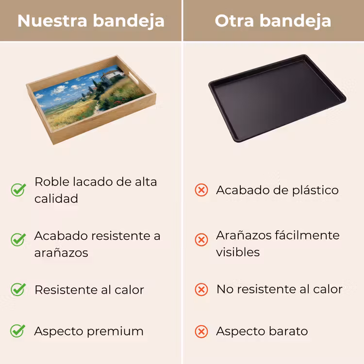 Bandeja - Pista de arena - Casa - Árboles - Césped — 9