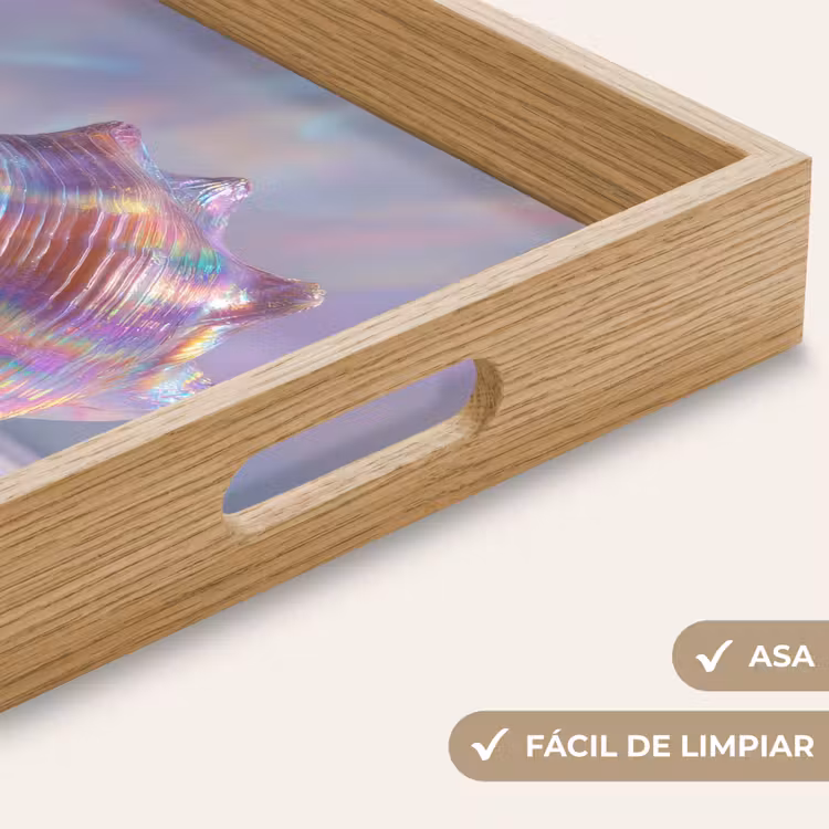 Bandeja - Shell - Brillante - Tonos arco iris — 8