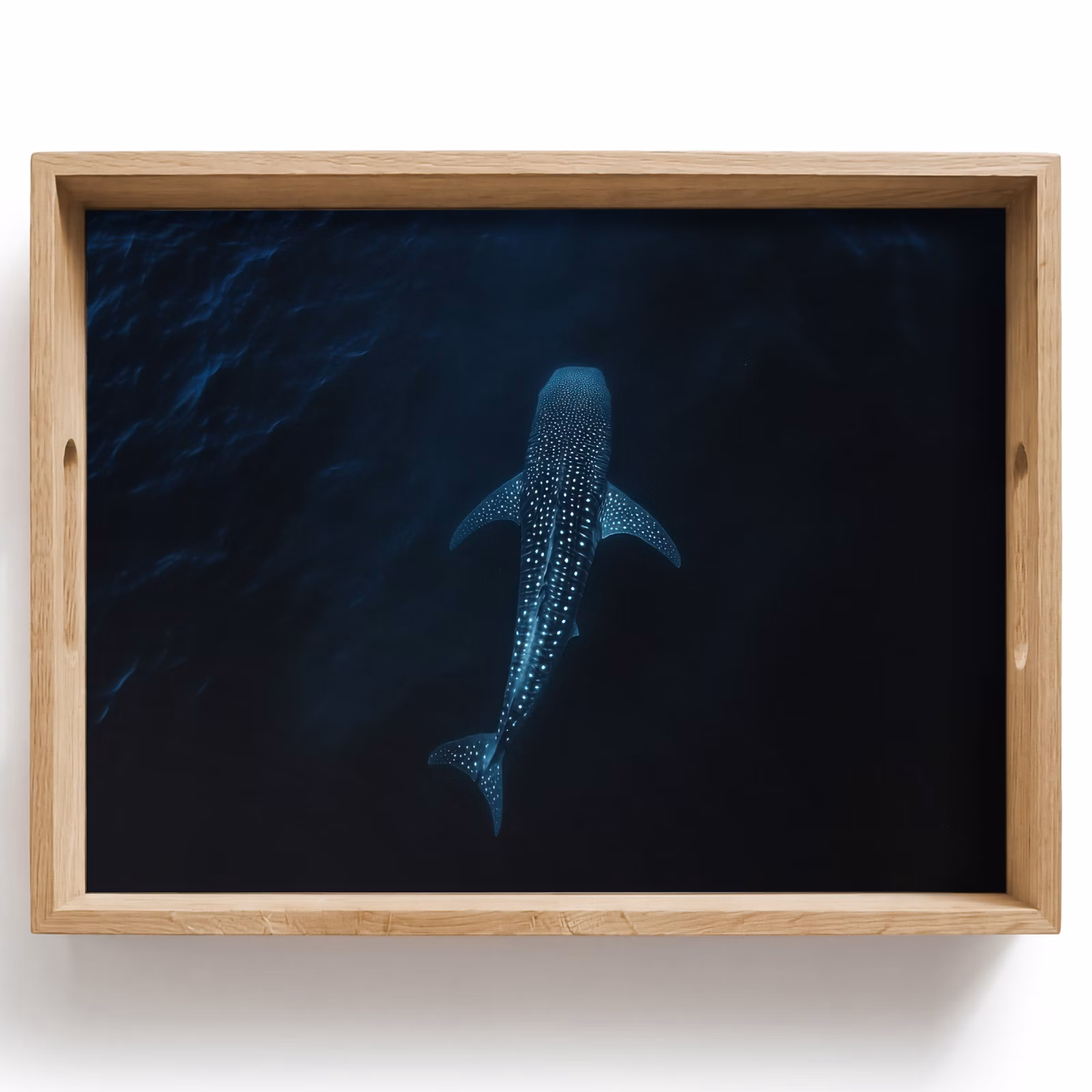 Bandeja - Océano - Tiburón ballena - Azul oscuro - Manchas — 1