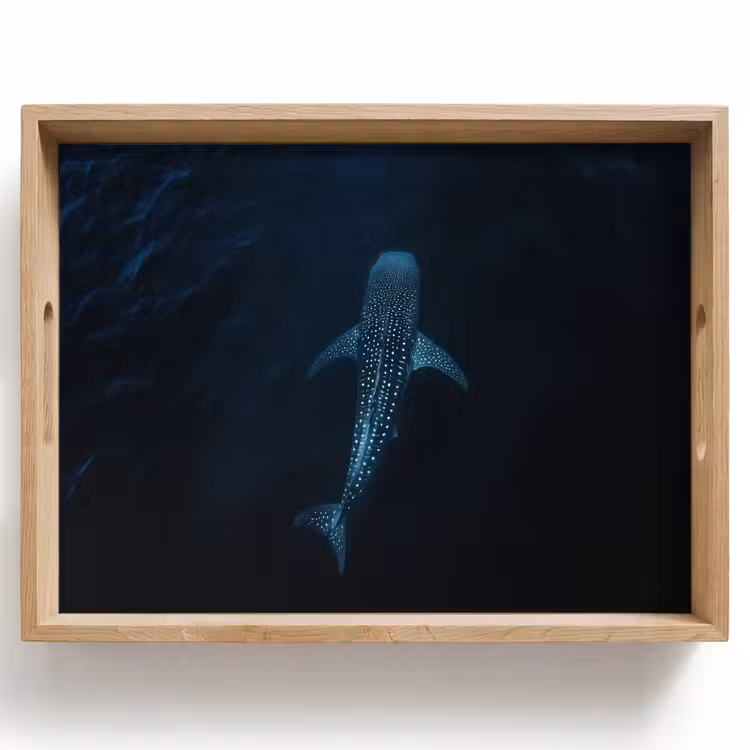 Bandeja - Océano - Tiburón ballena - Azul oscuro - Manchas — 1