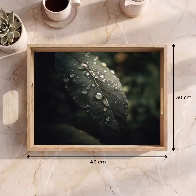 Bandeja - Hoja - Verde - Venas - Gotas de lluvia — 7
