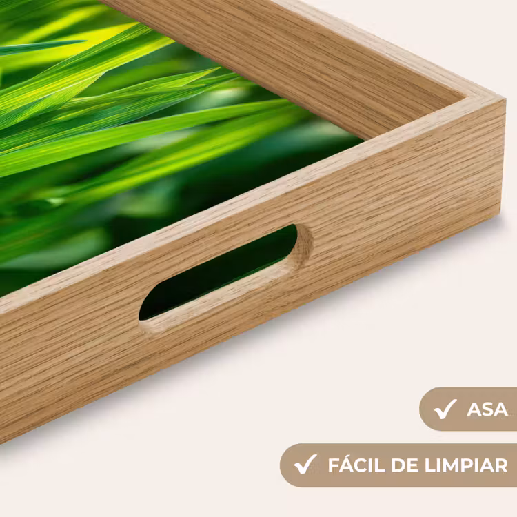 Bandeja - Hojas de hierba - Luz - Verde — 8