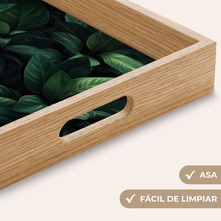 Bandeja - Hojas - Ovaladas - Verdes - Vetas — 8