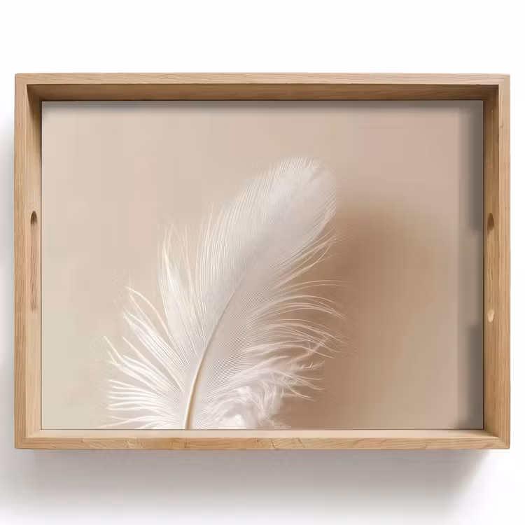 Bandeja - Pluma - Minimalista - Rosa — 1