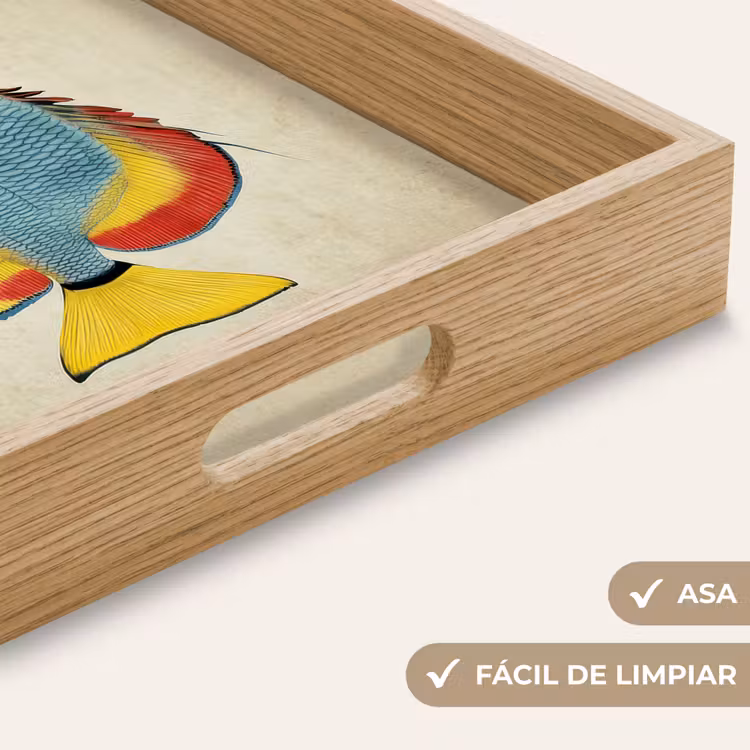 Bandeja - Colorido - Pez - Escamas - Ilustración — 8