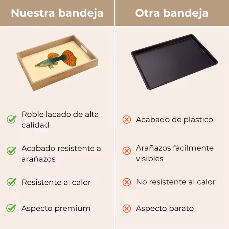 Bandeja - Pez - ilustración - Lunares - Naranja — 9