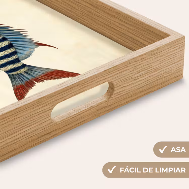 Bandeja - Rayado - Azul oscuro - Aleta dorsal - Pez — 8