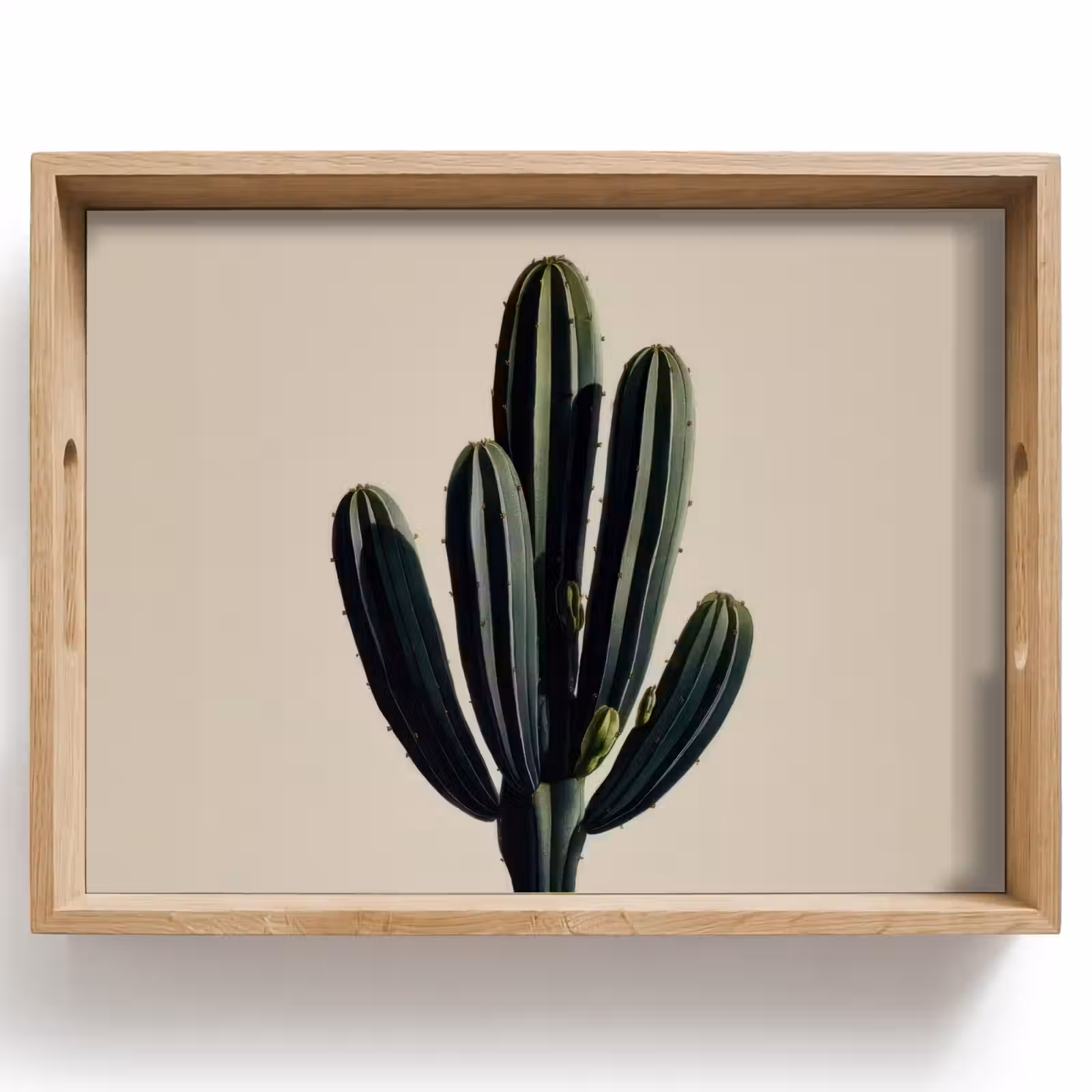 Bandeja - Cactus - Sutil - Verde — 1