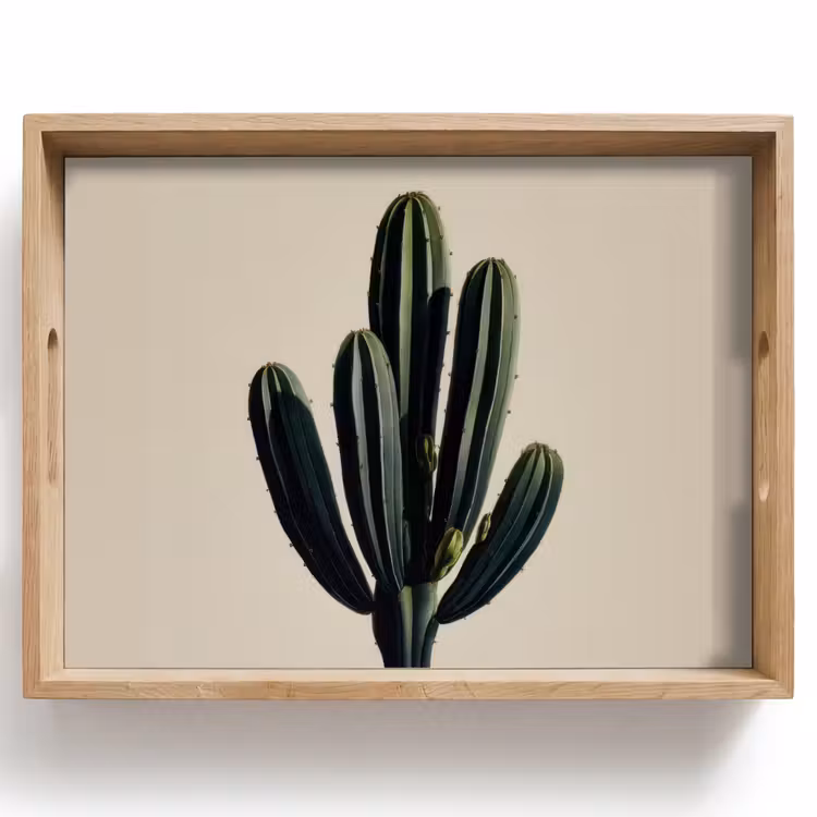 Bandeja - Cactus - Sutil - Verde — 1
