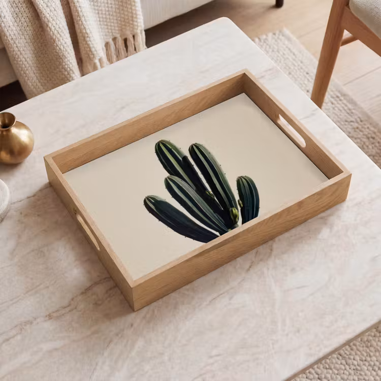 Bandeja - Cactus - Sutil - Verde — 2