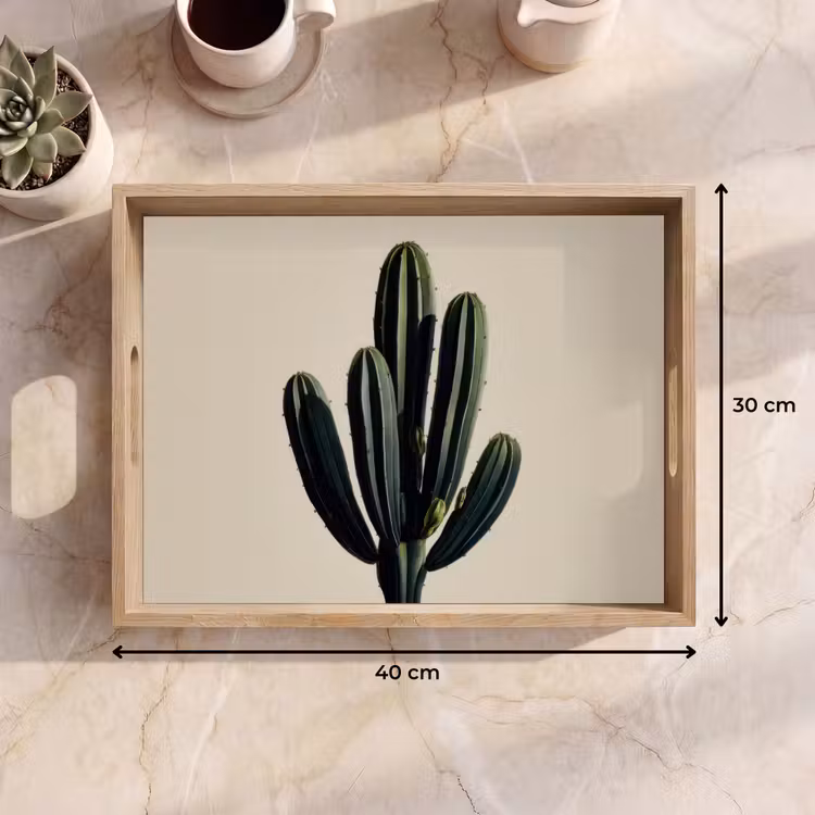 Bandeja - Cactus - Sutil - Verde — 7