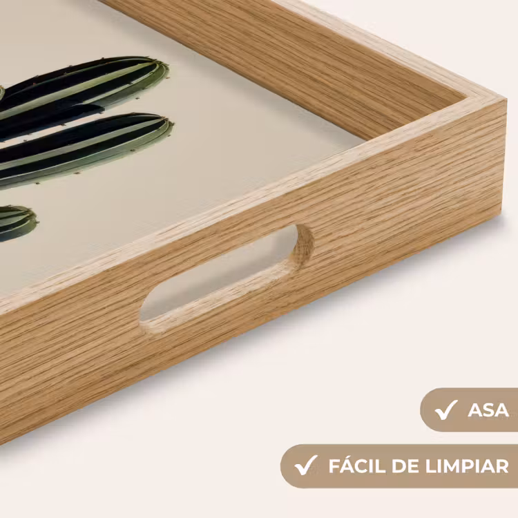 Bandeja - Cactus - Sutil - Verde — 8