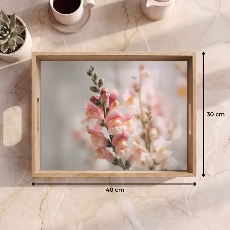 Bandeja - Flor - Boca de dragón - Rosa - Tallo — 7
