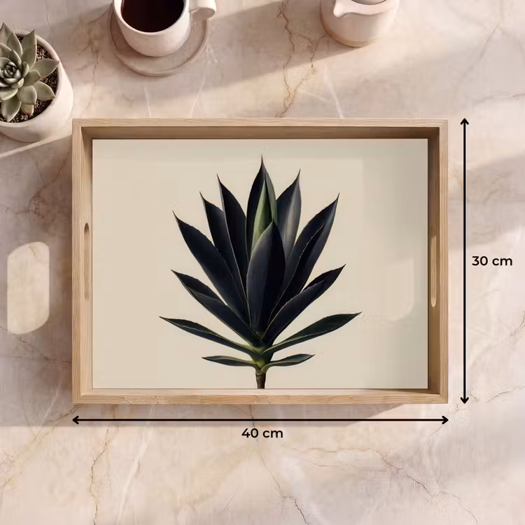 Bandeja - Planta de agave - Simétrica - Verde — 7