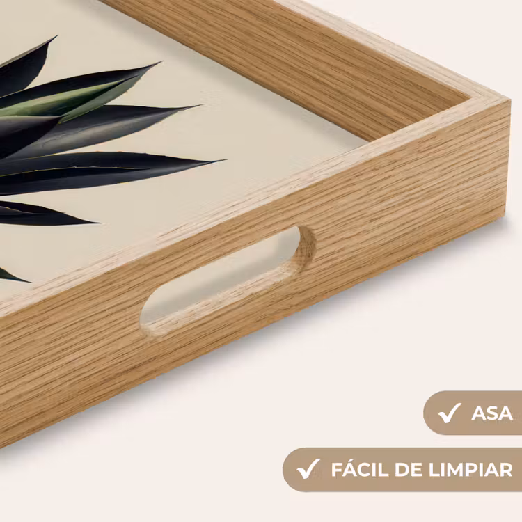 Bandeja - Planta de agave - Simétrica - Verde — 8