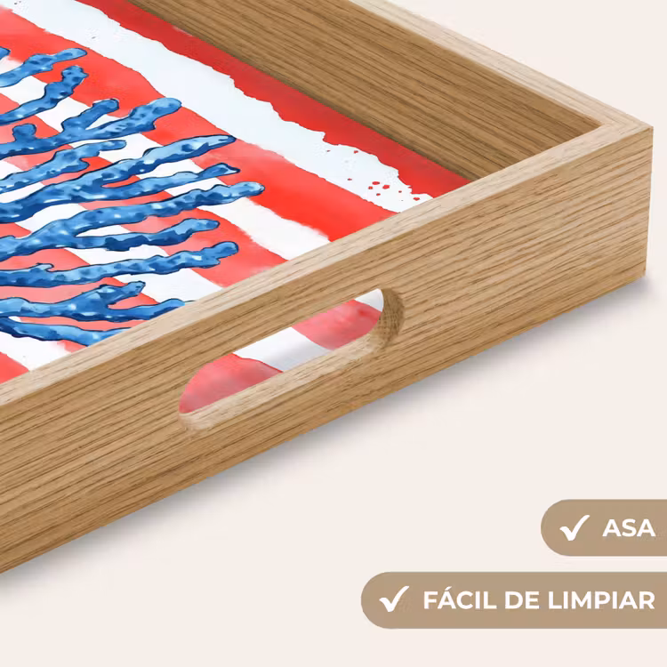Bandeja - Coral - Textura de pintura - Rojo - Azul — 8
