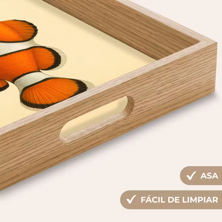 Bandeja - Pescado - Naranja - Rayas — 8