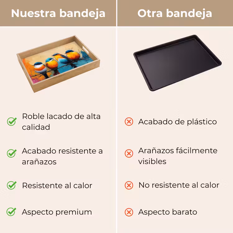 Bandeja - Pájaros - Colorido - Rama - Abstracto — 9