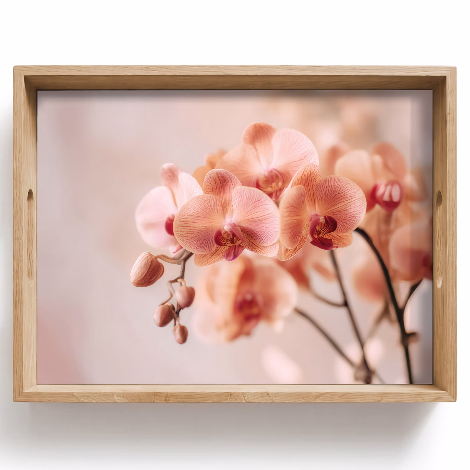 Bandeja - Orquídea - Flores - Rosa - Pétalos — 1