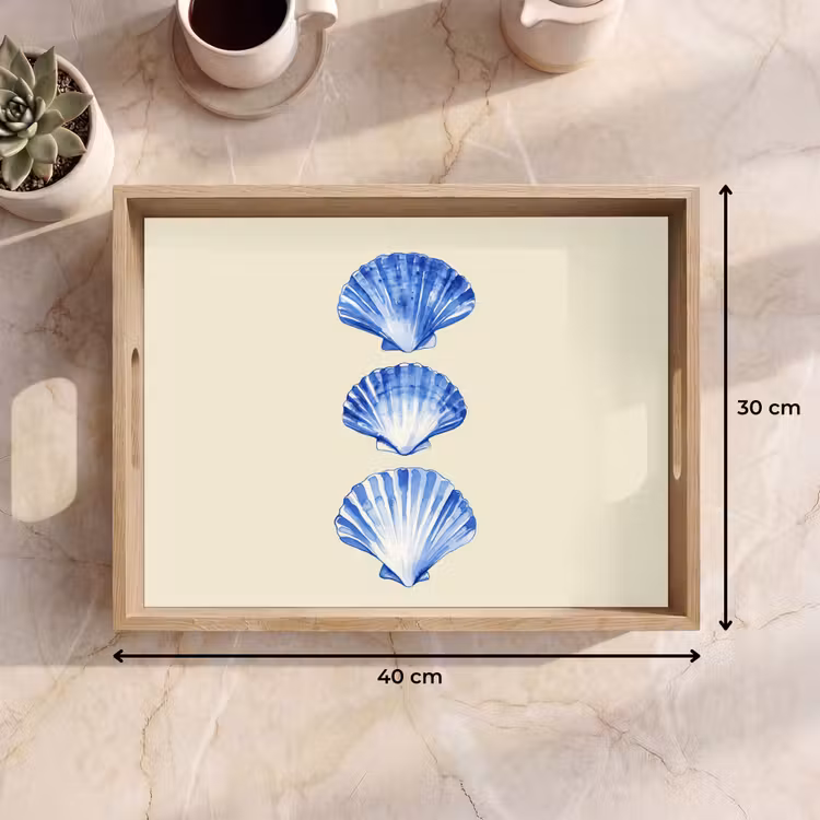 Bandeja - Conchas - Azul - Beige — 7