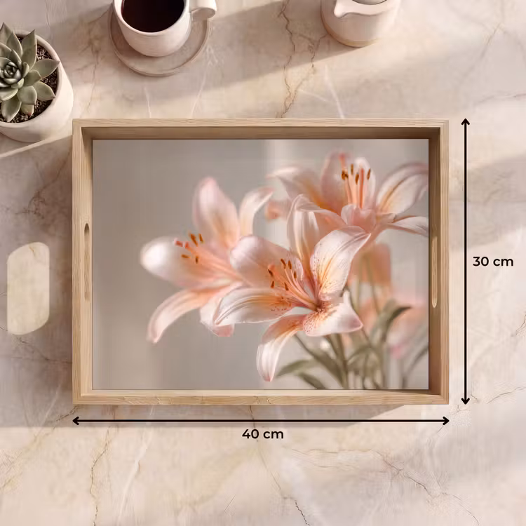 Bandeja - Lirios - Estambre - Rosa - Difuminado — 7
