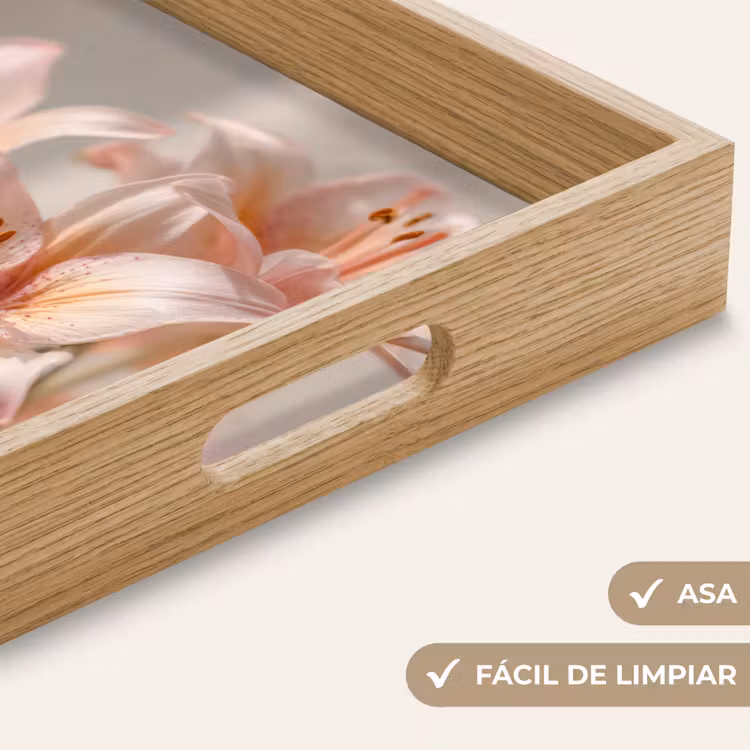 Bandeja - Lirios - Estambre - Rosa - Difuminado — 8