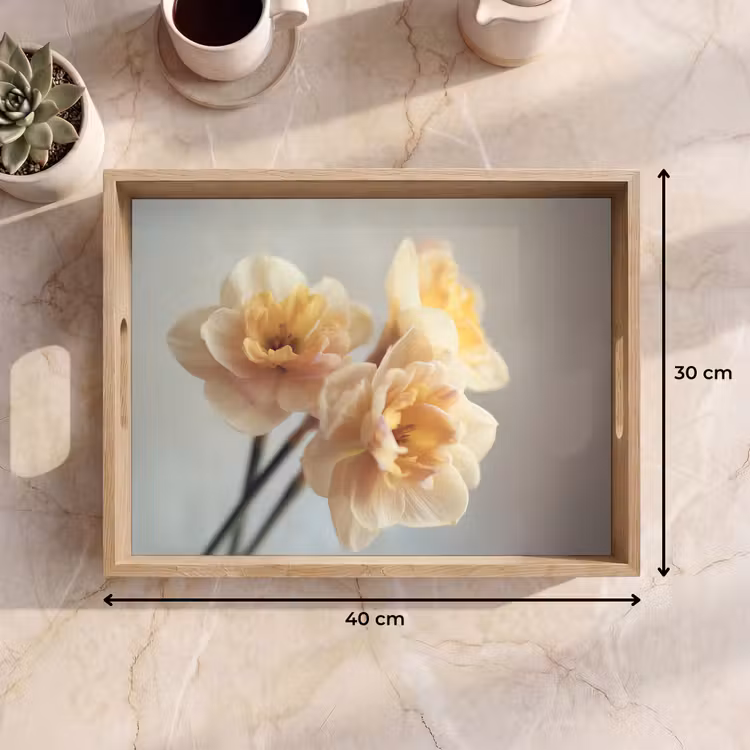Bandeja - Narcisos - Amarillos - Pétalos — 7