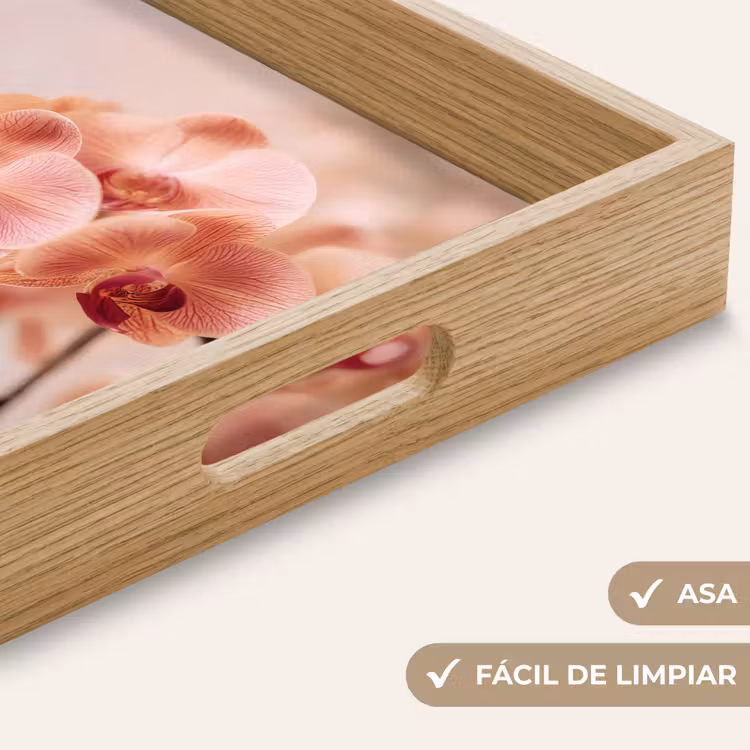 Bandeja - Orquídea - Flores - Rosa - Pétalos — 8