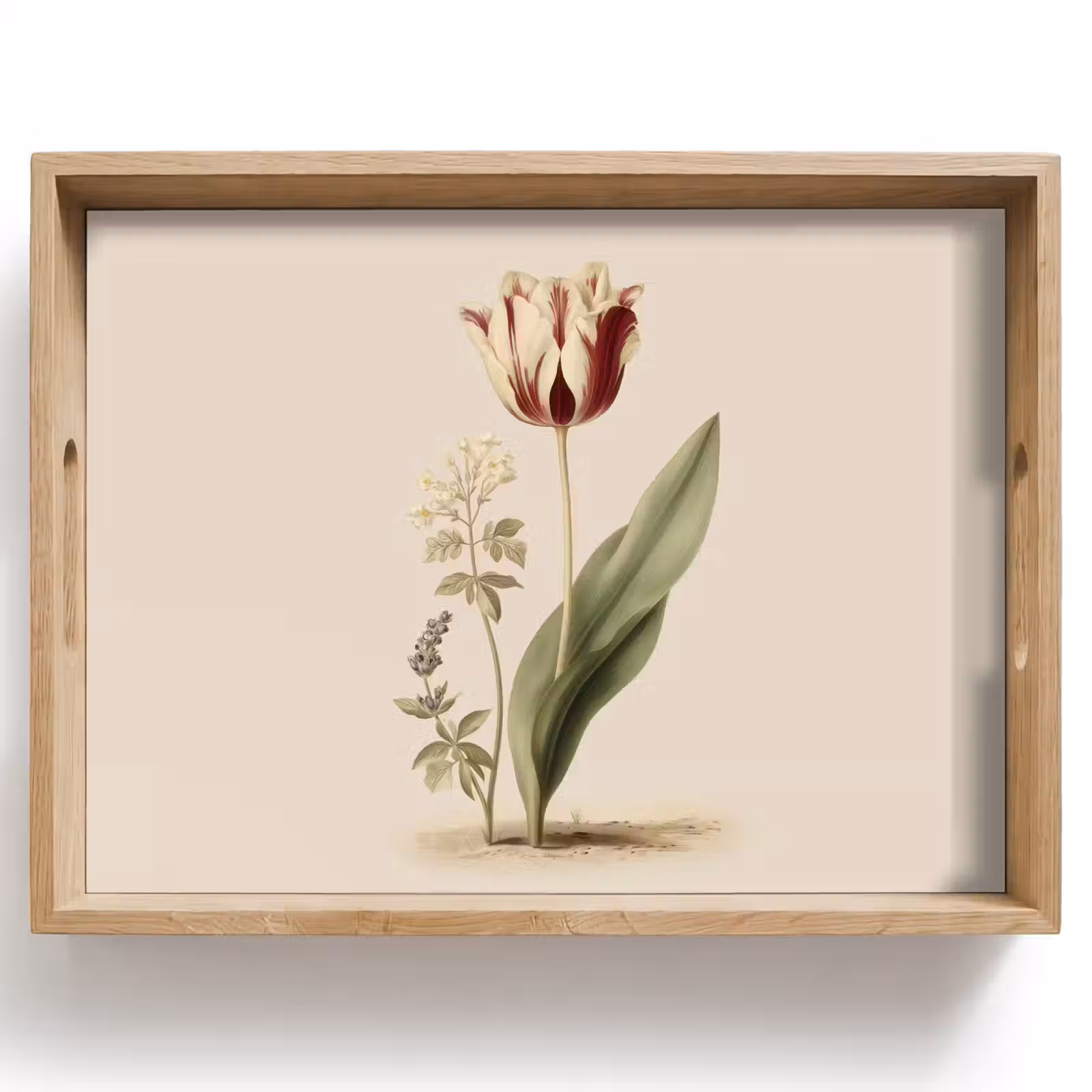 Bandeja - Tulipán - Minimalista - Beige — 1