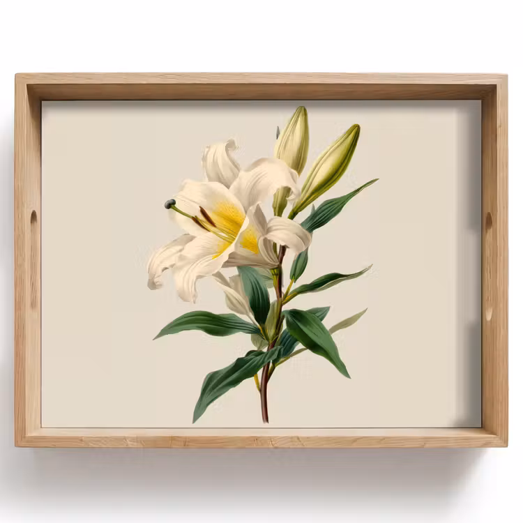Bandeja - Lirio - Elegante - Botánico - Beige — 1