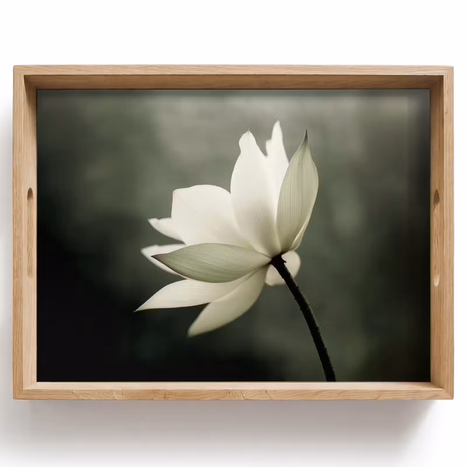 Bandeja - Blanco - Loto - Oscuro - Flor — 1