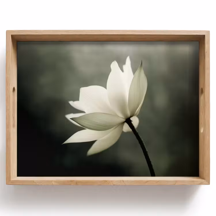 Bandeja - Blanco - Loto - Oscuro - Flor — 1